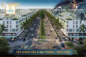 Chủ đầu tư Meyland - Tân Á Đại Thành