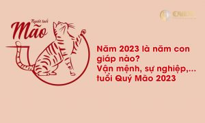 Năm 2023 là năm con giáp nào? Vận mệnh, sự nghiệp,... tuổi Quý Mão 2023