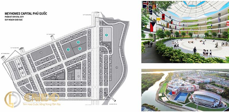 Trường đại học quốc tế được dự kiến xây dựng tại Crystal City.