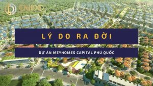 Lý do ra đời dự án Meyhomes Capital Phú Quốc